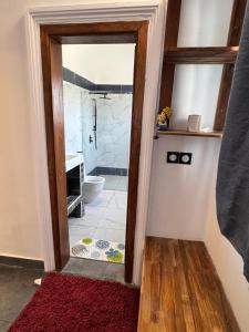 Habitación con baño con ducha y aseo. en Villa Soleil, Face a la mer, en Kika