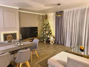 TV a/nebo společenská místnost v ubytování SILVER MOUNTAIN - ANA'S Apartments