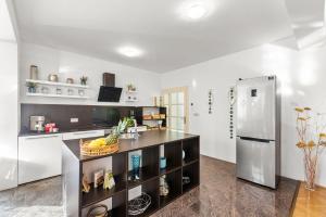 RošiniHoliday House with Private Pool Villa Seabird的带柜台和冰箱的厨房