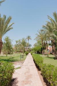 Κήπος έξω από το Traditional, Cozy and Quiet Apartment, Pool, Palmeraie