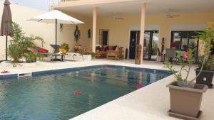 a swimming pool in a backyard with a house at Les Studios de l'Oasis in Ngaparou