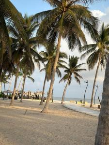 Gallery image of Golden Apartment in Salalah