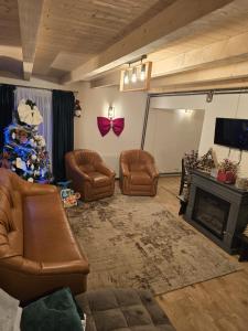 Χώρος καθιστικού στο Vila Micul Vip