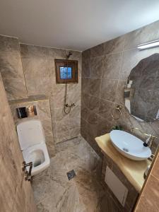 Ένα μπάνιο στο Vila Micul Vip +41 φωτογραφίες