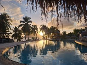 Bazén v ubytování Pause tropicale nebo v jeho okolí