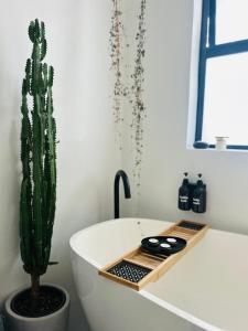 un cactusuanauanauanaanauanauanauanauanauanauuanauuanauanauananauananauananauananauana di Green Oasis in Blouberg Hot Tub Kids Paradise a Città del Capo