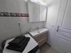 een kleine badkamer met een wastafel en een spiegel bij Gite du seminaire in Langres