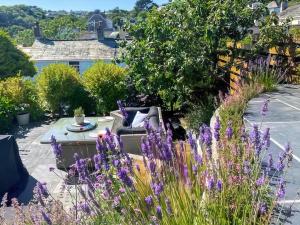 un jardín con plantas púrpuras y flores púrpuras en Shearwaters, en Saint Mawes