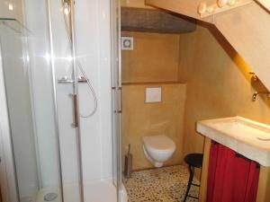 une salle de bain avec douche et toilettes dans l'établissement Eco gite de la rainette, à Chantraines 6 autres photos