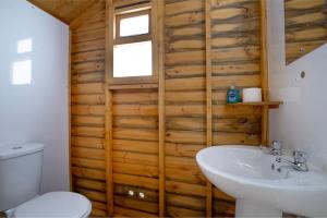 ein Badezimmer mit einer Holzwand, einem WC und einem Waschbecken in der Unterkunft Teal - Exton Park in Exton