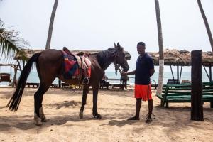 Animales en el hotel o alrededores 2 fotos más