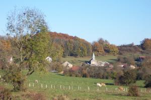 een groep paarden die grazen in een veld bij een boerderij bij La verte vallee in Orbigny-au-Val +9 foto's
