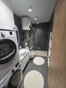 a bathroom with a washing machine and a toilet at Lu and Ma in Jahorina