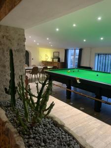 a living room with a pool table and a cactus at Villa la Hulotte in Angles