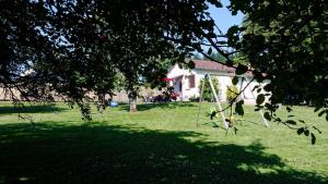 een groene tuin met een huis en een boom bij Gite Saint Pardoux L'ortigier in Saint-Pardoux-lʼOrtigier +3 foto's