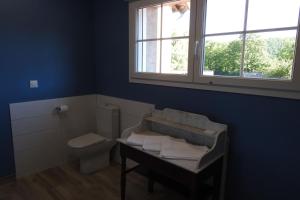 een badkamer met een toilet, een tafel en een raam bij Gite de la forge in Bettaincourt-sur-Rognon +23 foto's