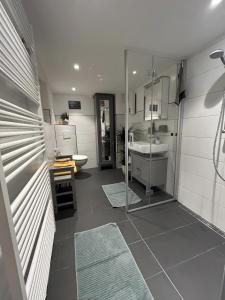 Un baño con ducha, lavabo e inodoro. en Apartment Fulda-Ufer, en Melsungen