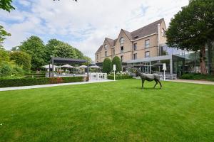 Vrt pred nastanitvijo Ariane Hotel