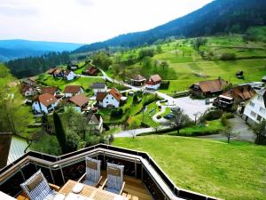 an aerial view of a village with houses and grass at Ferienhaus Paula in Langenbrand