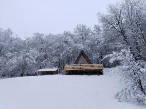 a cabin in a snow covered forest with trees at MajdanskiKutak2 in Gornji Milanovac +42 photos