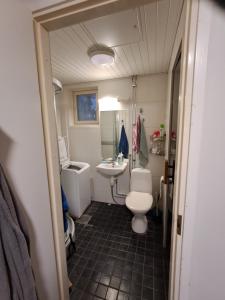een badkamer met toilet en wastafel bij Warm Nest in Rovaniemi +9 foto's