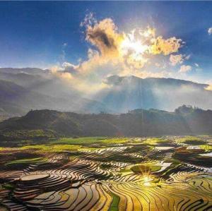 Природа в окрестностях апартаментов/квартиры +8 фотографий