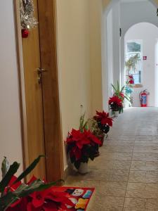 Φωτογραφία από το άλμπουμ του Стаи за гости - Цветето на Ангела σε Bankya