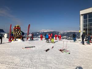 Skifaciliteter ved lejligheden eller i nærheden