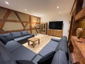 TV a/nebo společenská místnost v ubytování Juraperle - Historisch und modern - Wohnung 1 + 49 fotografií