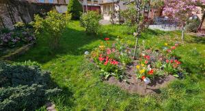 En have udenfor Ferienhaus Rosengarten