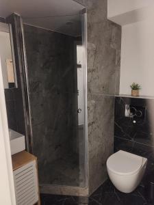 a bathroom with a toilet and a glass shower at El Silencio Apartments in Zurich
