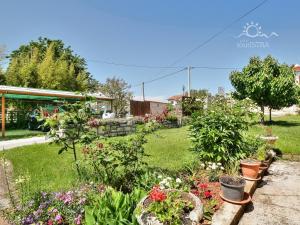 Zahrada ubytování Room PARADINOVIĆ