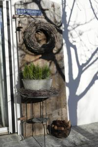 ein Regal mit Pflanzen an der Seite eines Gebäudes in der Unterkunft Filipponi's Träumli in Rüthi