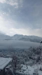 Phong cảnh thiên nhiên gần chỗ nghỉ nhà dân