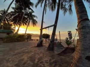 two hammocks on a beach with palm trees at Akoya Beachpark and Cottages in El Nido