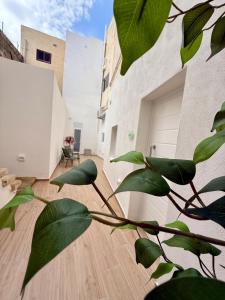 GudjaAS2 - The Alley Suites Apartment in Gudja的一栋木地板建筑前的植物