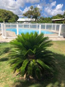 Бассейн в Bungalow charmant avec piscine partagée à Saint-François или поблизости