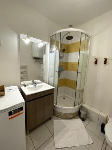 Koupelna v ubytování Le Théâtre 3