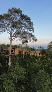 Φυσικό τοπίο κοντά σε αυτό το καταφύγιο