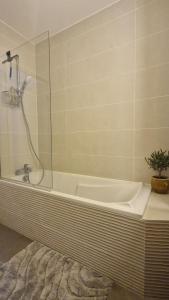 a bathroom with a shower and a tub with a plant at Logement entier appartement Bischoffsheim in Bischoffsheim +3 photos