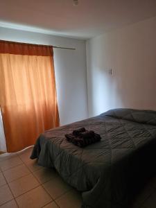 a bedroom with a bed and a window at Casa centro in Tolhuin