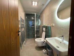 a bathroom with a toilet and a sink and a shower at Apartmány pod Štěpánkou in Kořenov