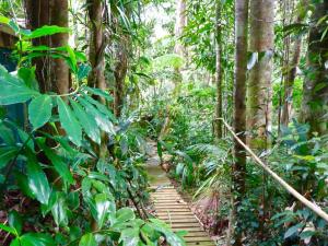 Zahrada ubytování Kuranda Ngorongoro Lodge + 26 fotografií