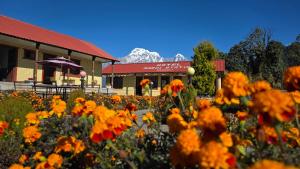 a field of flowers in front of a building at Hotel mardi station in Astam