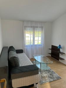 a living room with a couch and a glass table at Villa Sale Buna in Mostar +19 photos