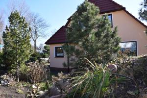 Κήπος έξω από το Traum_Fewo 2 Pers_