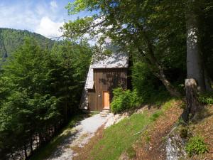 a small wooden building on a hill with trees at Il Pino in Tarvisio