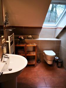 a bathroom with a sink and a toilet and a window at Weitblick in Lebbin