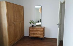 a bathroom with a wooden door and a dresser with a mirror at Am Hafen 15 in Röbel