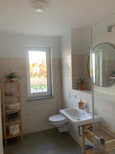 a bathroom with a toilet and a sink and a mirror at Am Hafen 15 in Röbel